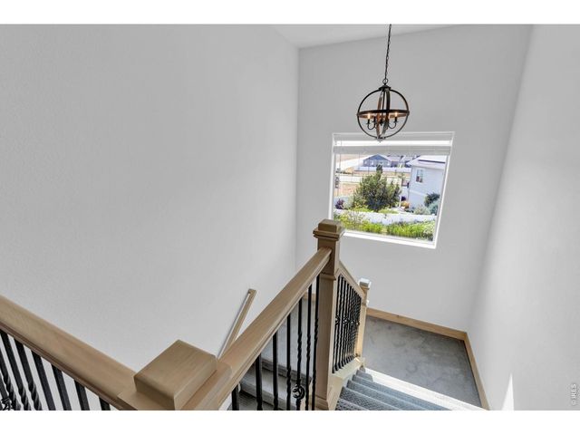 1699 Corby Dr, Windsor, CO 80550
