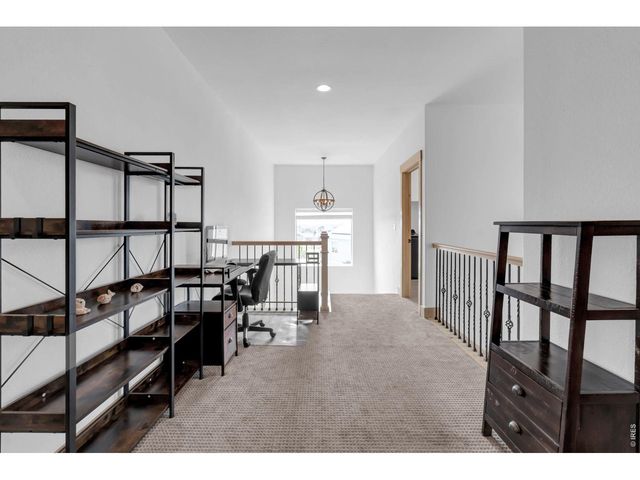 1699 Corby Dr, Windsor, CO 80550