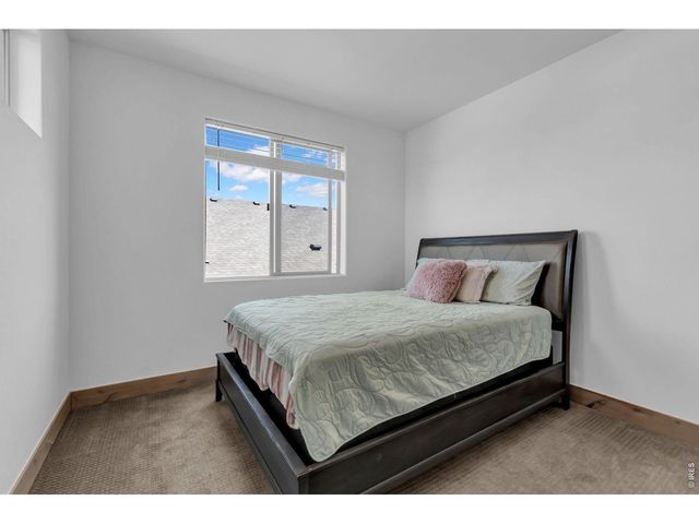 1699 Corby Dr, Windsor, CO 80550