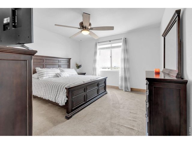 1699 Corby Dr, Windsor, CO 80550
