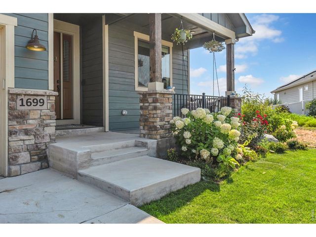 1699 Corby Dr, Windsor, CO 80550