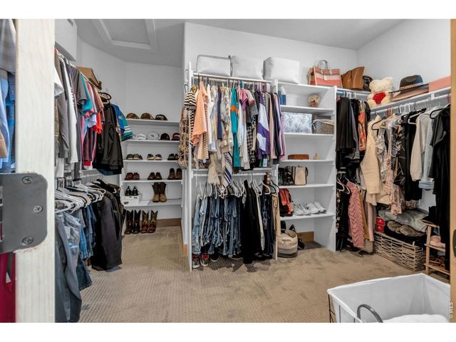 1699 Corby Dr, Windsor, CO 80550