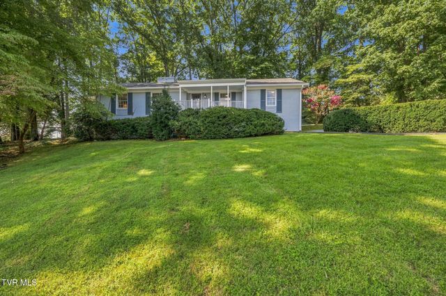 599 Green Hill Road, Bristol, VA 24201