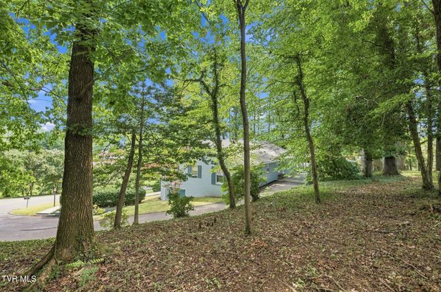 599 Green Hill Road, Bristol, VA 24201