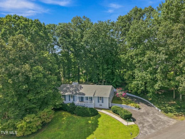 599 Green Hill Road, Bristol, VA 24201