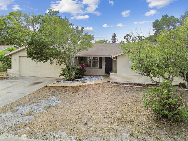 8907 PANDORA LANE, Port Richey, FL 34668