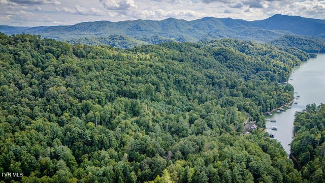 Tbd Cove Ridge Road, Butler, TN 37640