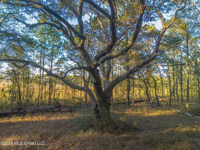 14.96 Acres Arcadia Farm Road, Pass Christian, MS 39571