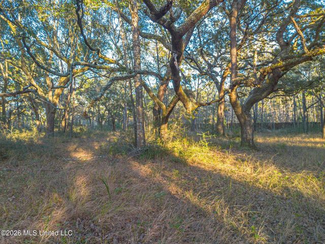 14.96 Acres Arcadia Farm Road, Pass Christian, MS 39571
