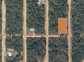 000 SELMA AVENUE, Interlachen, FL 32148