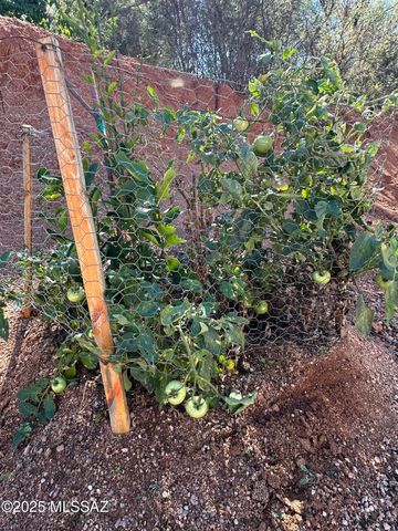 895 Calle Alabastro, Rio Rico, AZ 85648