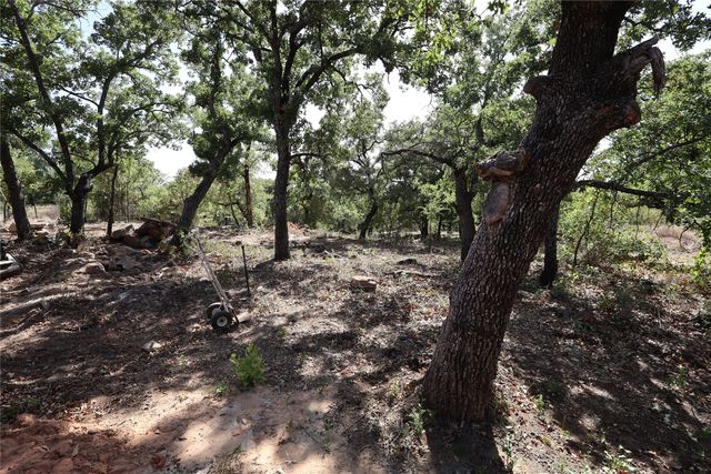 175 Lori Drive, Mineral Wells, TX 76067