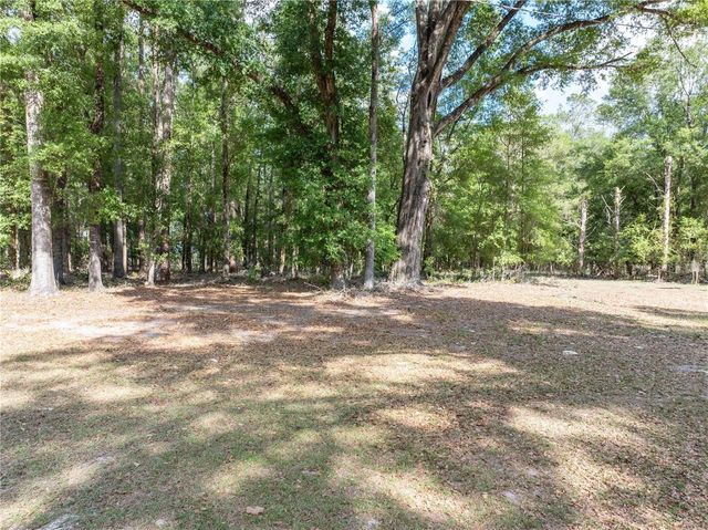 159 SW 70TH AVENUE, Bell, FL 32619