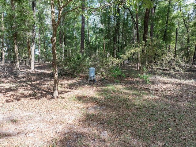 159 SW 70TH AVENUE, Bell, FL 32619