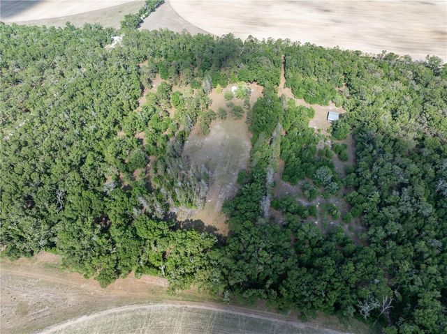 159 SW 70TH AVENUE, Bell, FL 32619