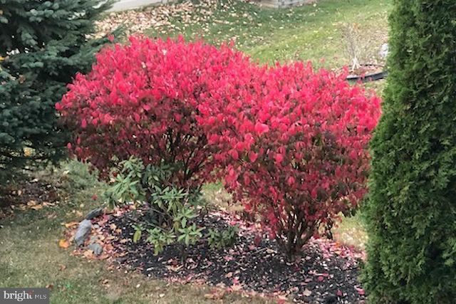 5123 SUMMERFIELD DR, Mount Joy, PA 17552