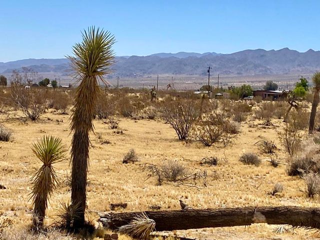 109 Border Avenue, Joshua Tree, CA 92252
