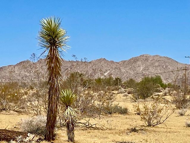 109 Border Avenue, Joshua Tree, CA 92252