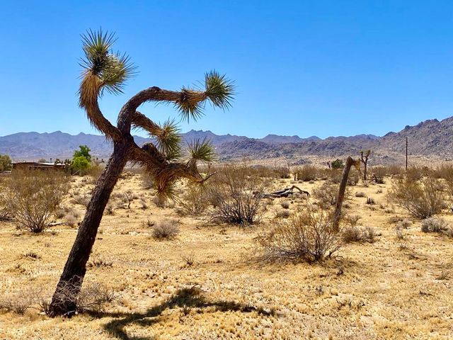 109 Border Avenue, Joshua Tree, CA 92252