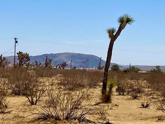 109 Border Avenue, Joshua Tree, CA 92252