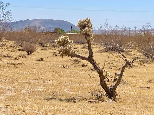 109 Border Avenue, Joshua Tree, CA 92252