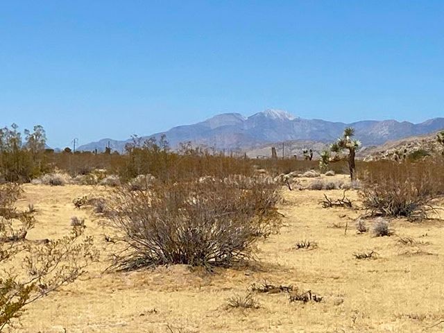 109 Border Avenue, Joshua Tree, CA 92252