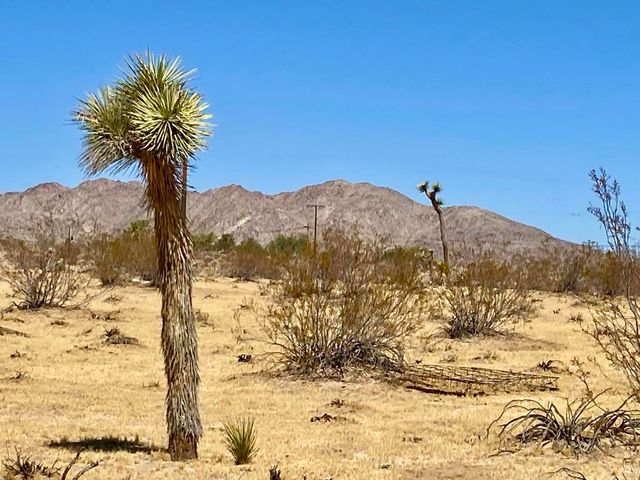109 Border Avenue, Joshua Tree, CA 92252