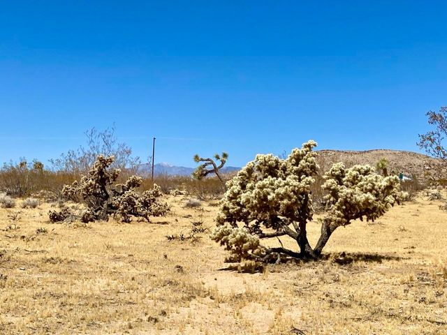 109 Border Avenue, Joshua Tree, CA 92252
