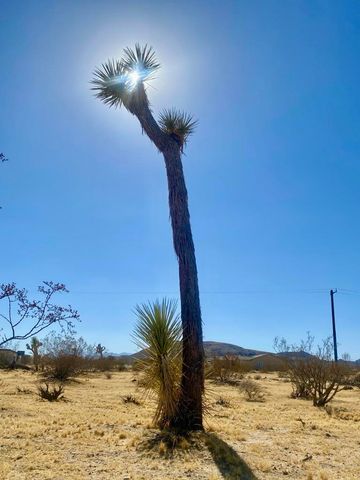 109 Border Avenue, Joshua Tree, CA 92252