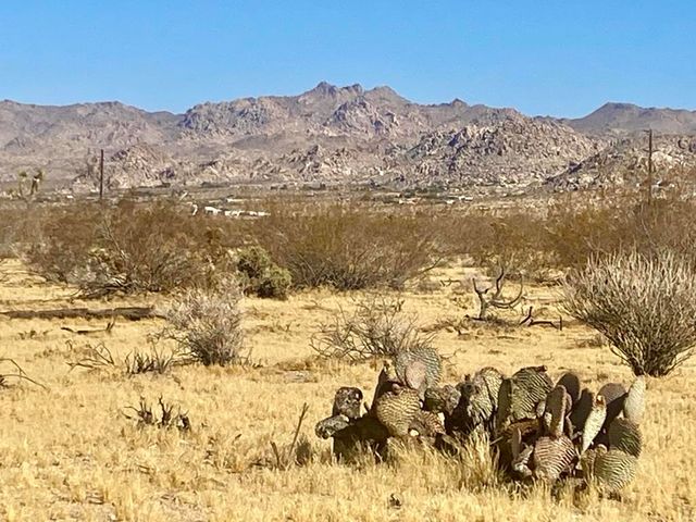 109 Border Avenue, Joshua Tree, CA 92252