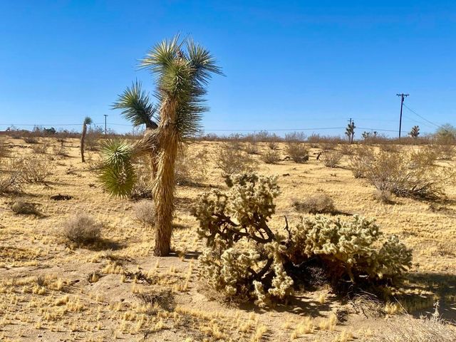 109 Border Avenue, Joshua Tree, CA 92252