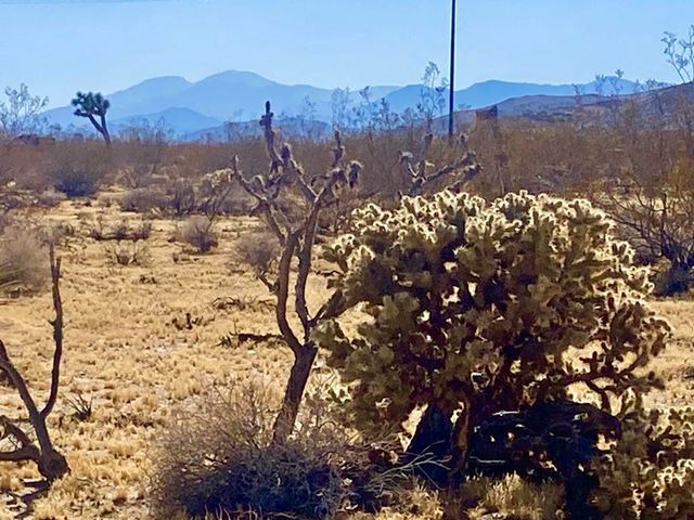 109 Border Avenue, Joshua Tree, CA 92252