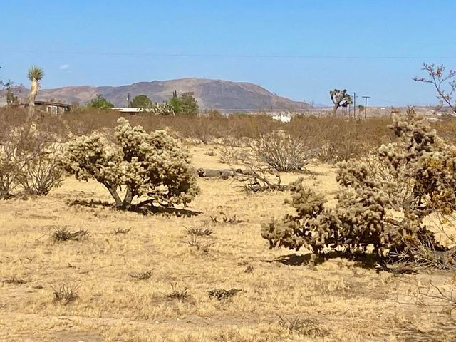 109 Border Avenue, Joshua Tree, CA 92252