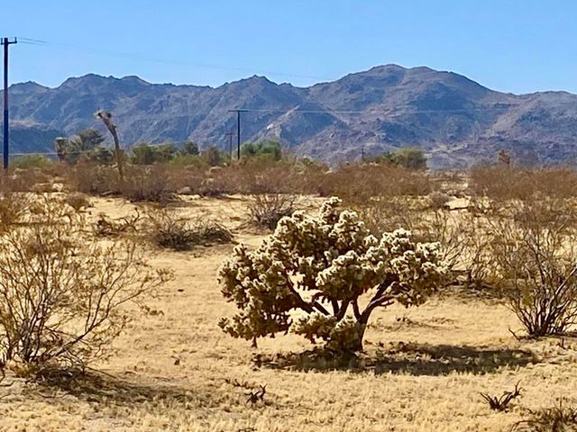 109 Border Avenue, Joshua Tree, CA 92252