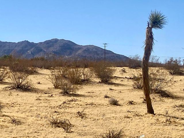 109 Border Avenue, Joshua Tree, CA 92252