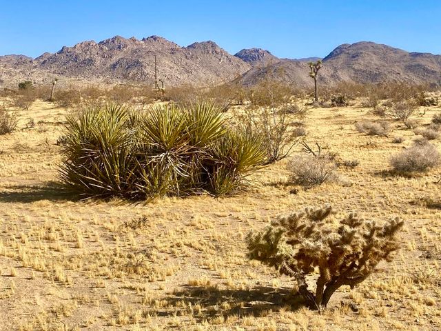 109 Border Avenue, Joshua Tree, CA 92252
