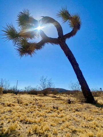 109 Border Avenue, Joshua Tree, CA 92252