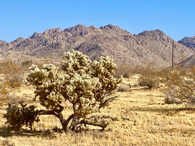 109 Border Avenue, Joshua Tree, CA 92252
