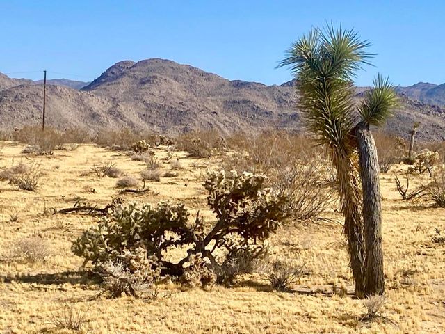 109 Border Avenue, Joshua Tree, CA 92252