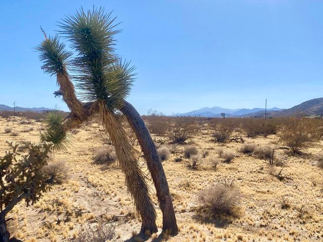 109 Border Avenue, Joshua Tree, CA 92252