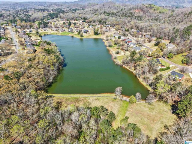 135 MACDONALD COURT, Springville, AL 35146