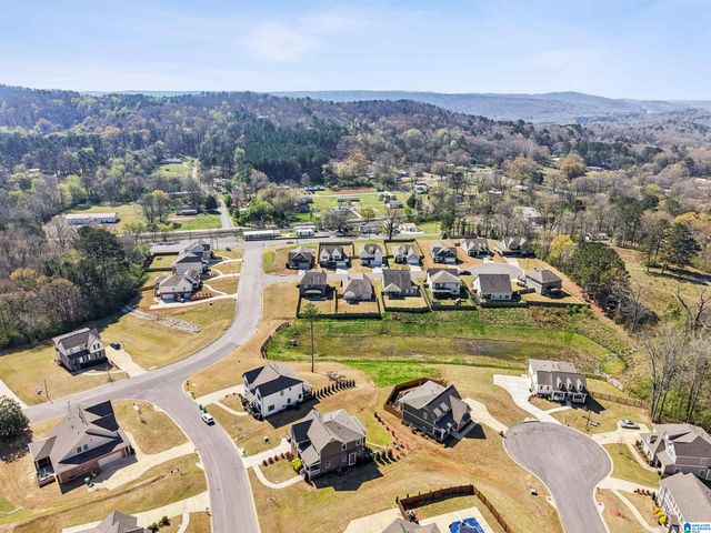 135 MACDONALD COURT, Springville, AL 35146