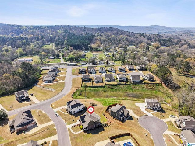 135 MACDONALD COURT, Springville, AL 35146