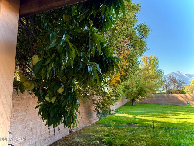 1616 Belarra Drive, Minden, NV 89423