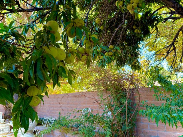 1616 Belarra Drive, Minden, NV 89423