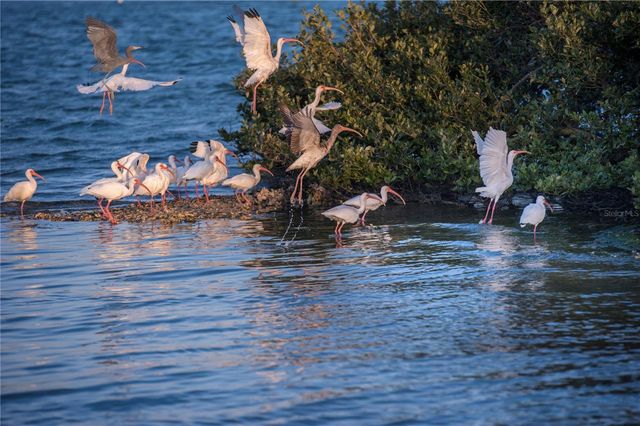 1709 UMBRELLA TREE DRIVE, Edgewater, FL 32132