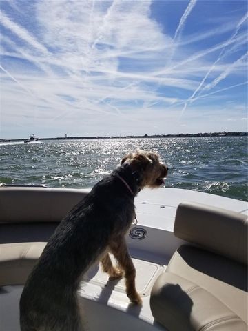 1709 UMBRELLA TREE DRIVE, Edgewater, FL 32132