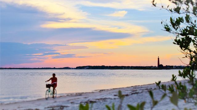 1709 UMBRELLA TREE DRIVE, Edgewater, FL 32132