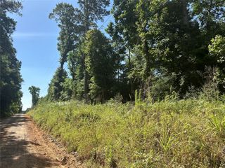 TBD Oakdale Loop, Livingston, TX 77351