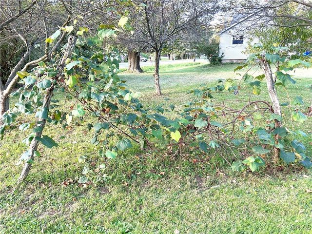 1098 State Route 221, Marathon, NY 13803